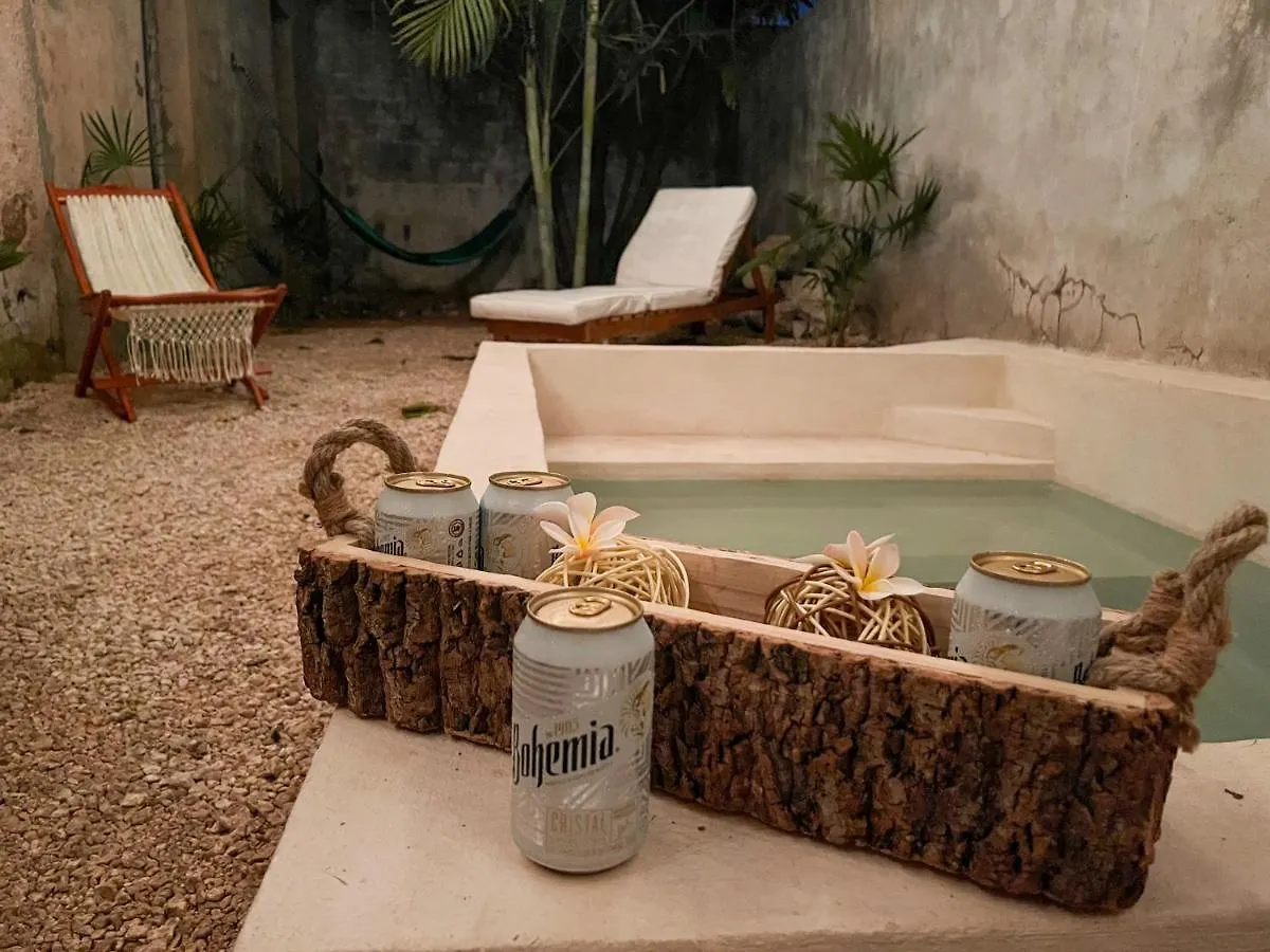 Unique Mystic Pool Yard Only 3 Blocks Main Sq Villa Mérida Vakantiehuis